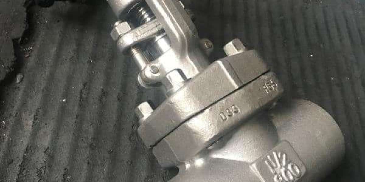Check Valve Supplier in India