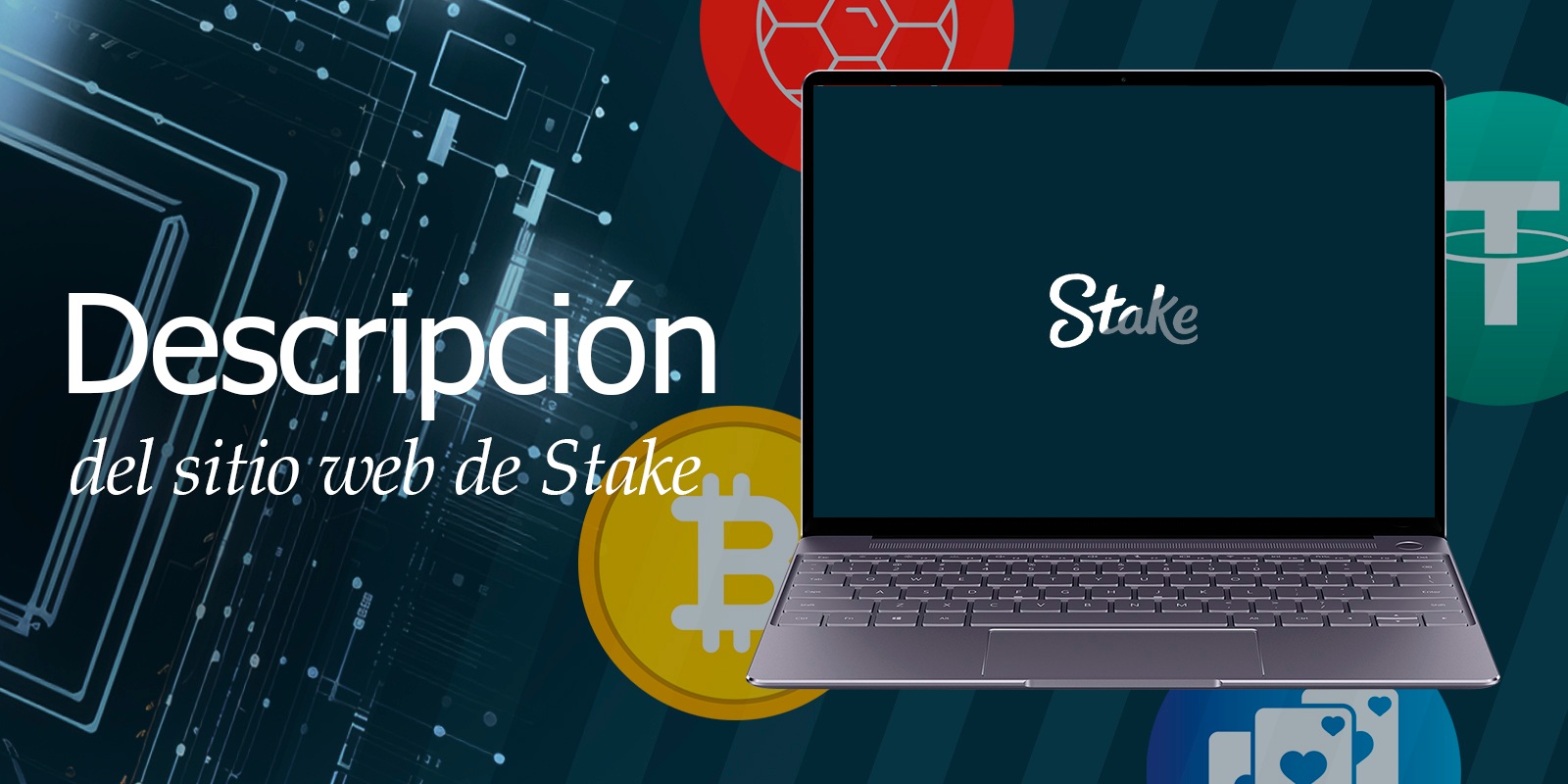 Stake Colombia: Casino Online Oficial y Casa de Apuestas | Stake Casino 2025