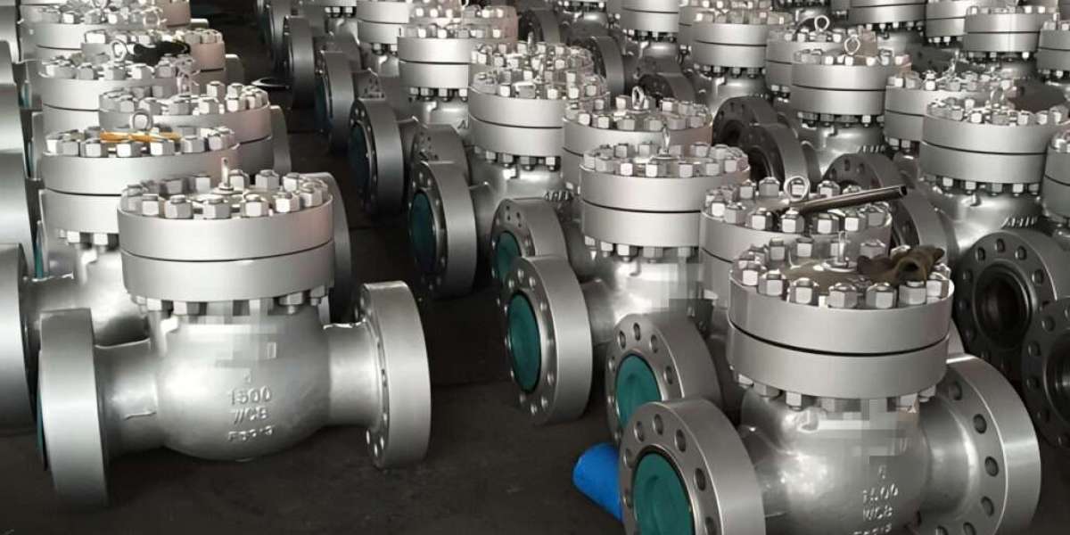 Titanium Check Valve