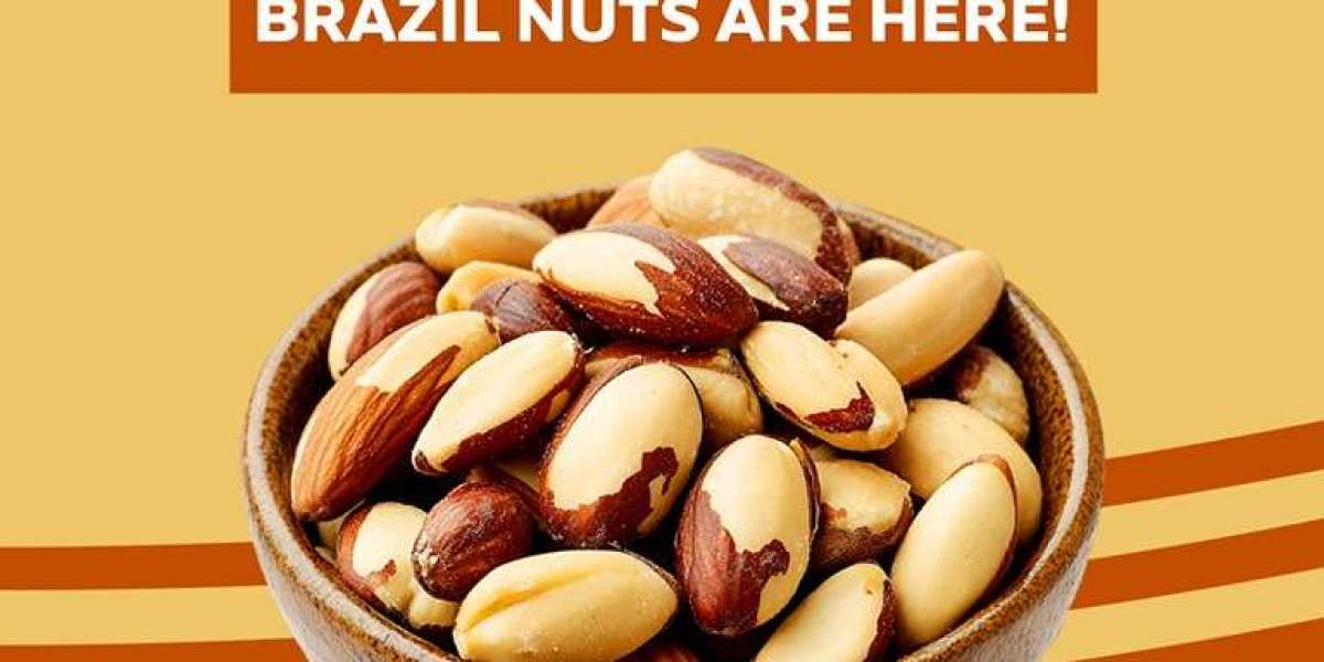 The Irresistible Charm of Organic Chocolate Raisins and Honey Cashew Nuts from Nuts Oasis
