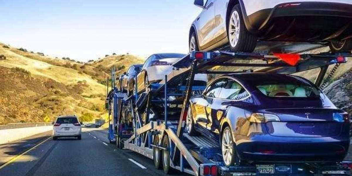 Why Speed Matters When Shipping Your Car