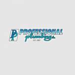 Professional Plumbing Inc