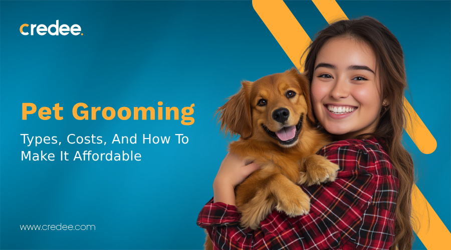 Pet Grooming: Your Comprehensive Guide, Insights, And Costs
