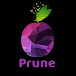 Prune Digital Solutions Pvt Ltd