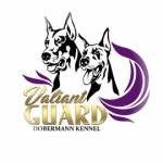Doberman Ukraine