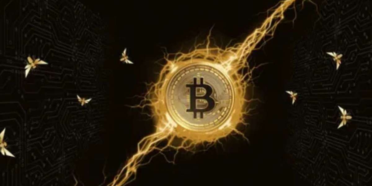 Crypto for Beginners: How to Buy, Store & Secure Bitcoin in 2025