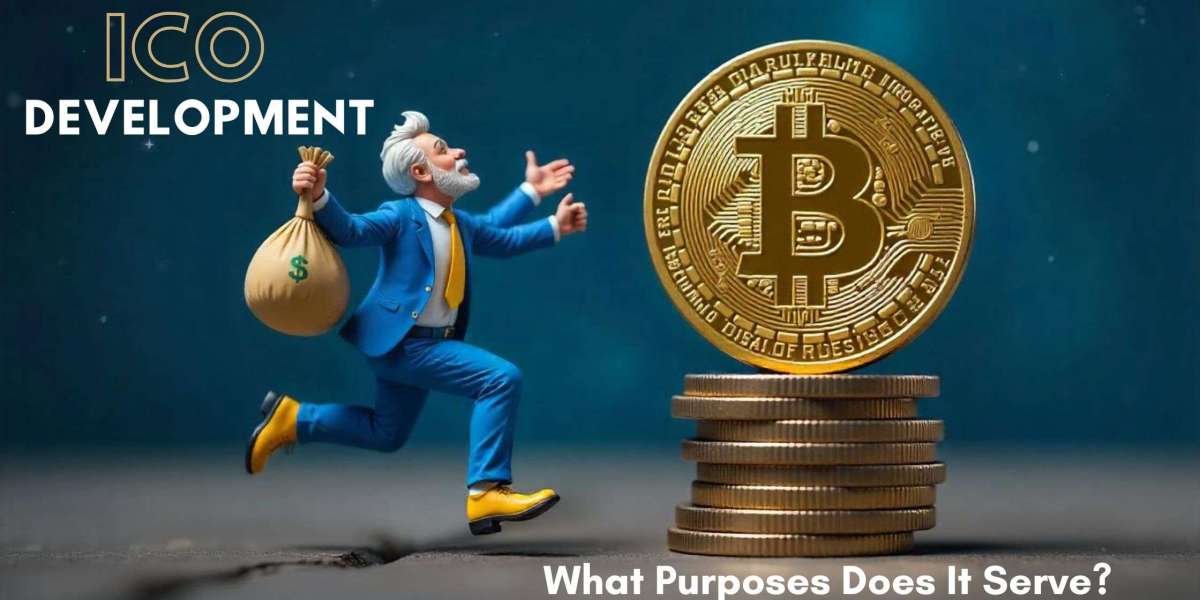 What is ICO Software, and What Purposes Does It Serve?