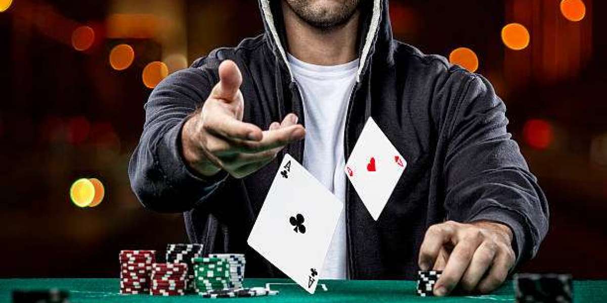 Why SattaReport Is Every SattaKing Player’s Go-To Platform