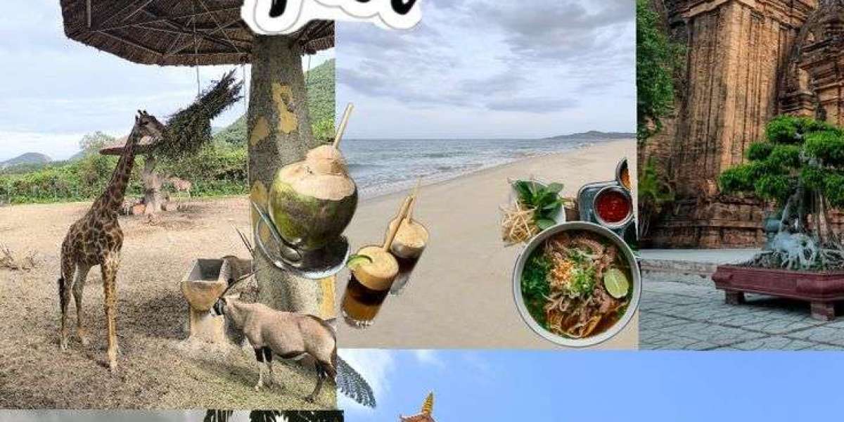 Discover Vietnam: A Complete Travel Guide + A Look at the Vietnam e-Visa System