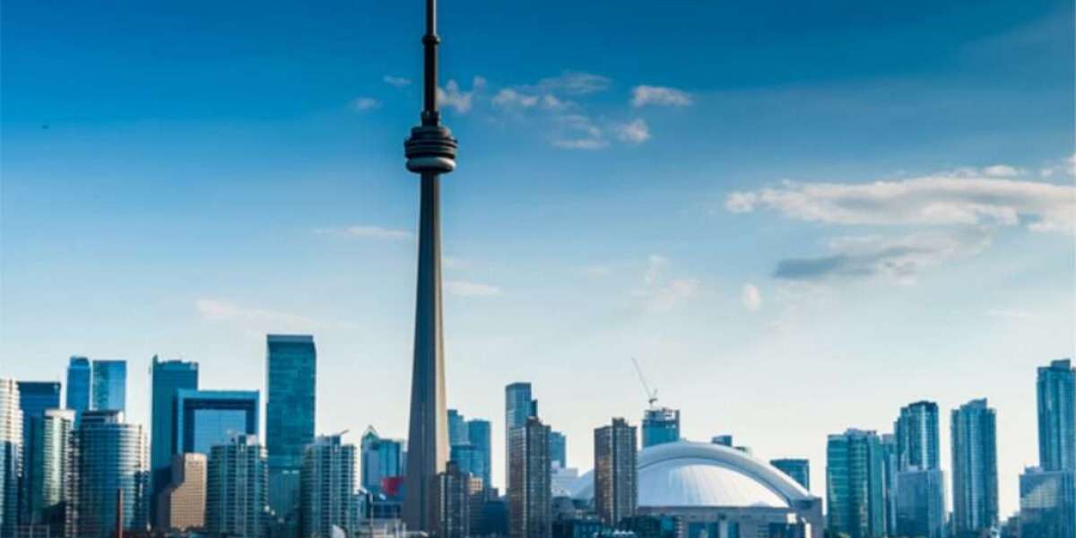 What courses are in high demand in Canada for international students?