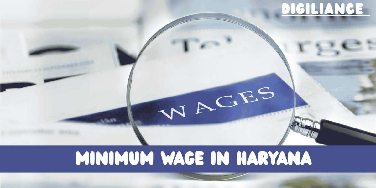 Shocking Facts About Minimum Wage in Haryana – Are You Earning Enough?