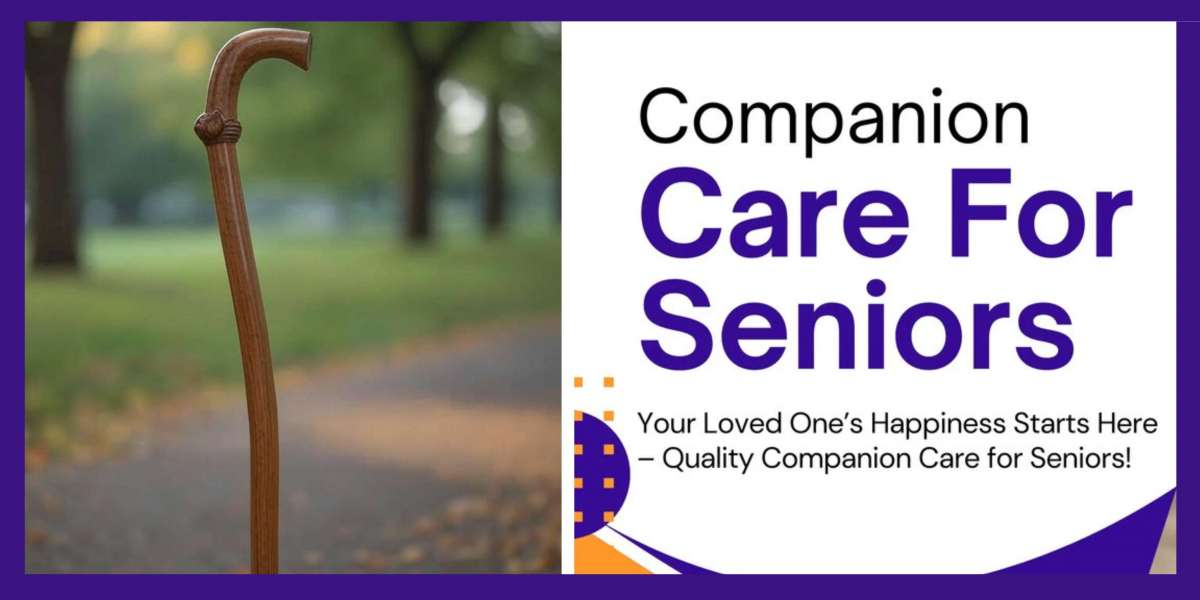 Choosing a Comfortable and Lightweight Walking Stick for Seniors