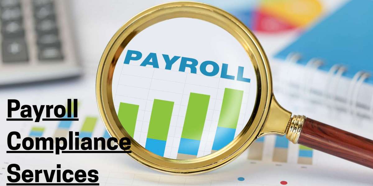 Why You Need Payroll Compliance Services to Protect Your Business