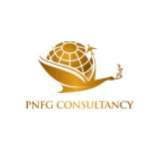 PNFG CONSULTANCY