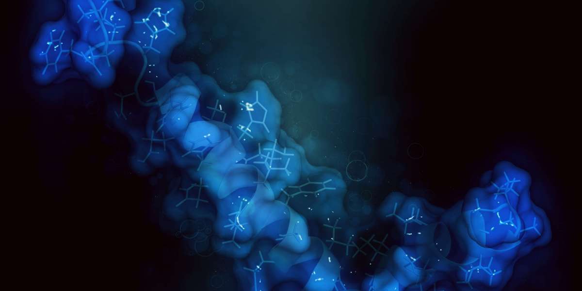Overview of Human SRD5A1 Stable Cell Line - HEK293