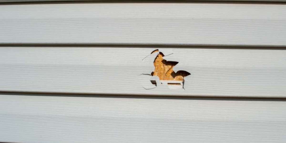Why Siding Repair Is Essential for Your Home’s Protection and Curb Appeal