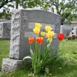 Lauck And Veldhof Funeral And Cremation Services