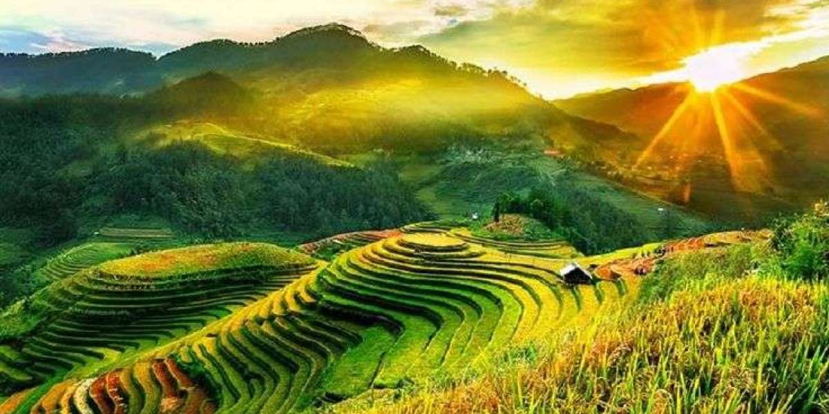 Timeless Beauty of Vietnam: A Man’s Journey Through Architecture, Arts, Tradition, and Paintings...