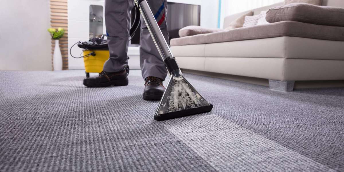 How Carpet Cleaning Services Help with Dust Mite Allergies