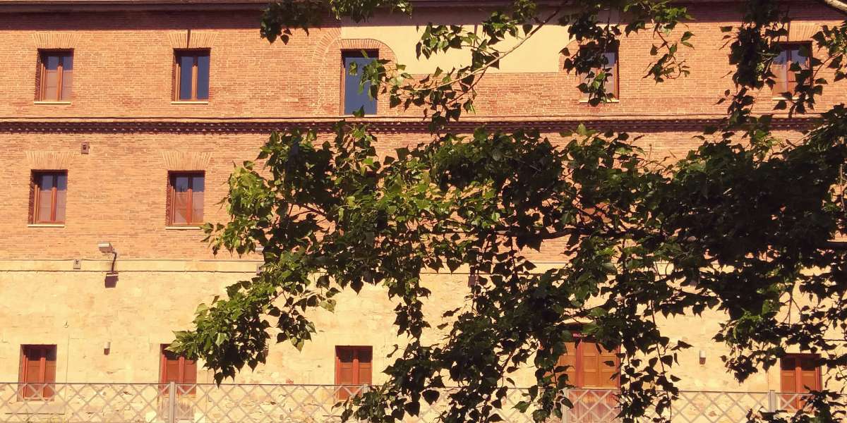 Плюсы и минусы казино: что нужно знать перед игрой
