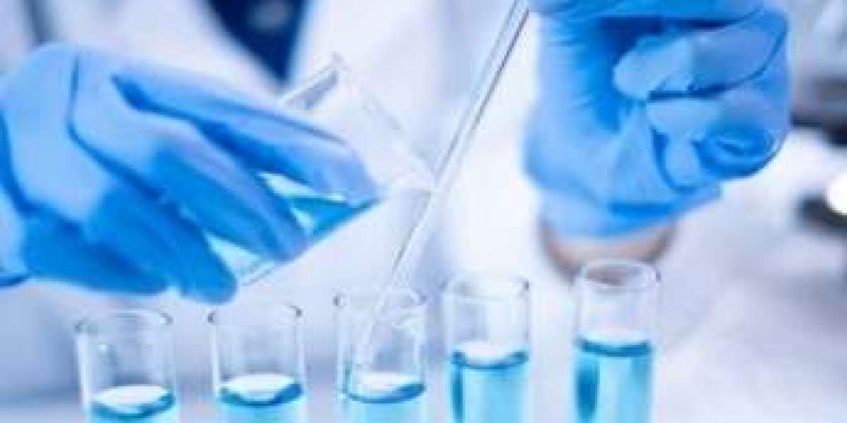 Oncolytic Bacterial Therapy Development Services: Pioneering Synergistic Approaches to Cancer Treatment