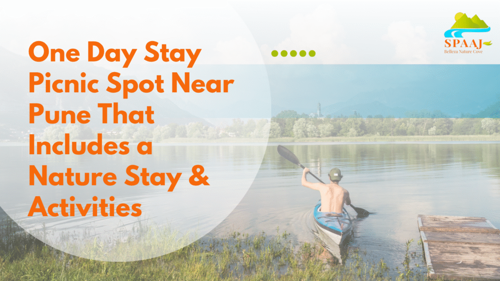 Nature Picnic Spots Near Pune for a Perfect One-Day Stay