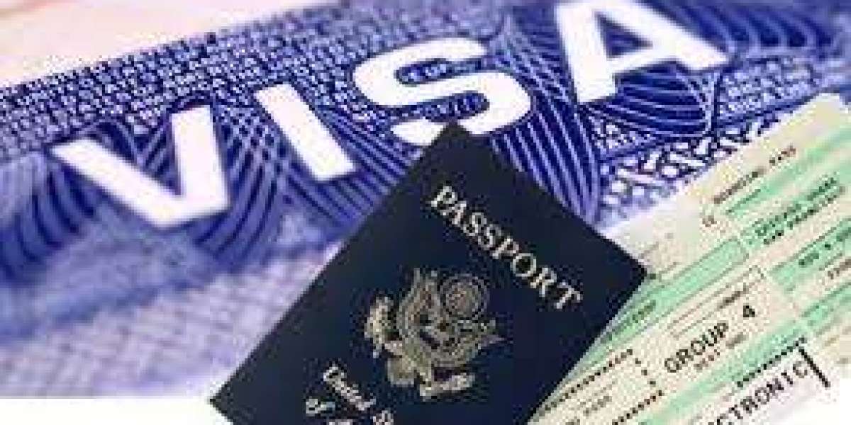 Trusted Immigration & Passport Services in Tampa – Your Journey Starts Here