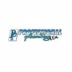 Professional Plumbing IE Inc