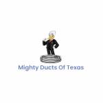 Mighty Ducts of Texas