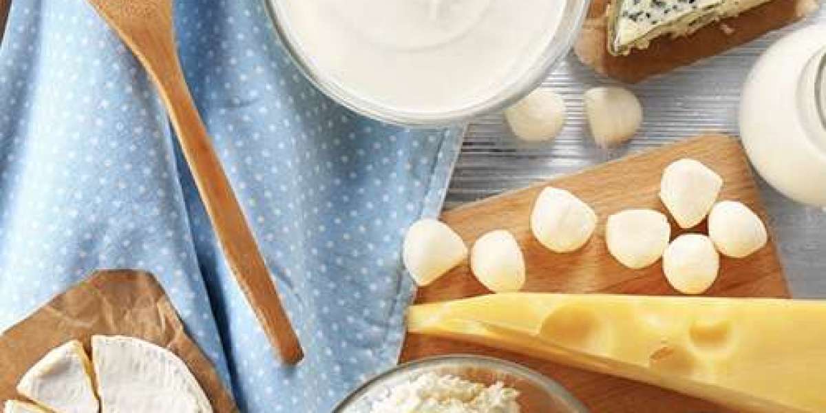 Exploring the World of Best-Selling Probiotic Products and the Role of Freeze Drying Technology in Dietary Supplements
