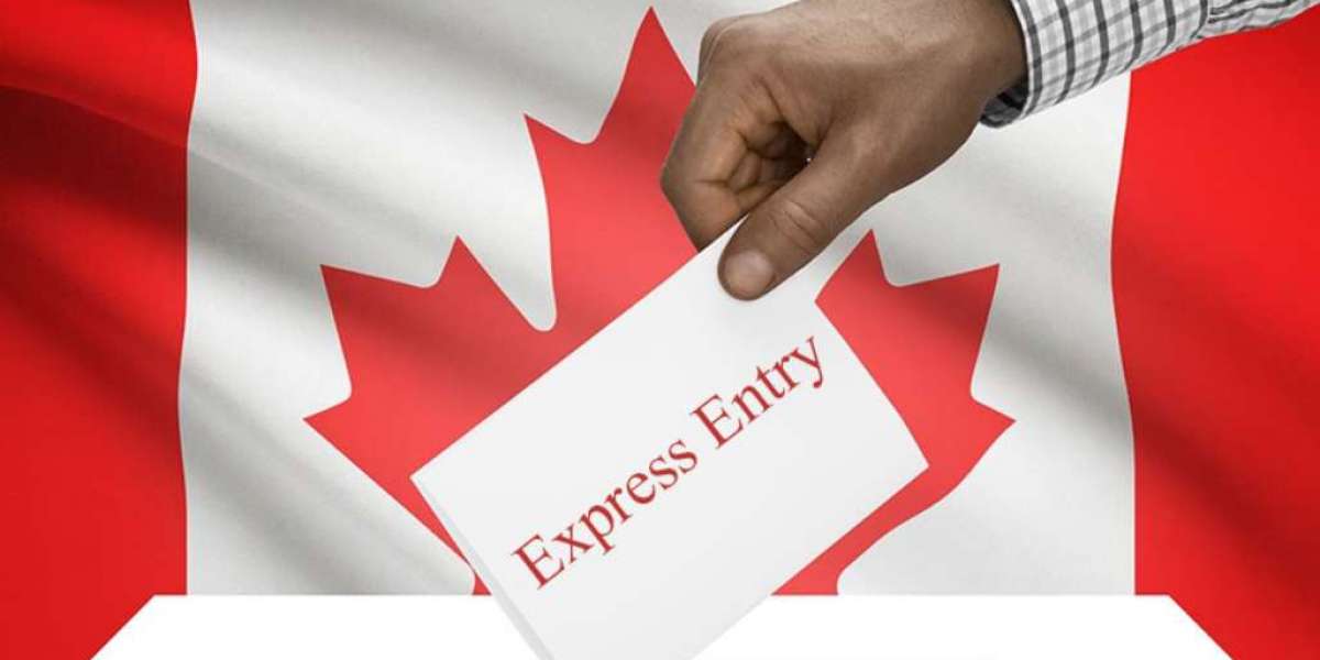 Why You Need an Express Entry Lawyer to Maximize Your Chances of Canadian PR