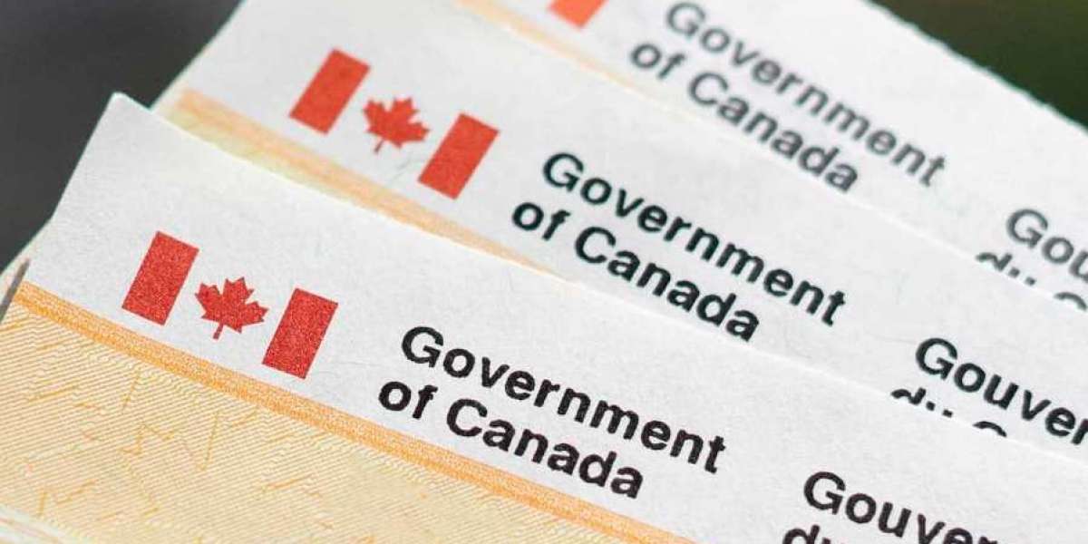 Why International Graduates in Windsor Should Use a Lawyer for PR Applications