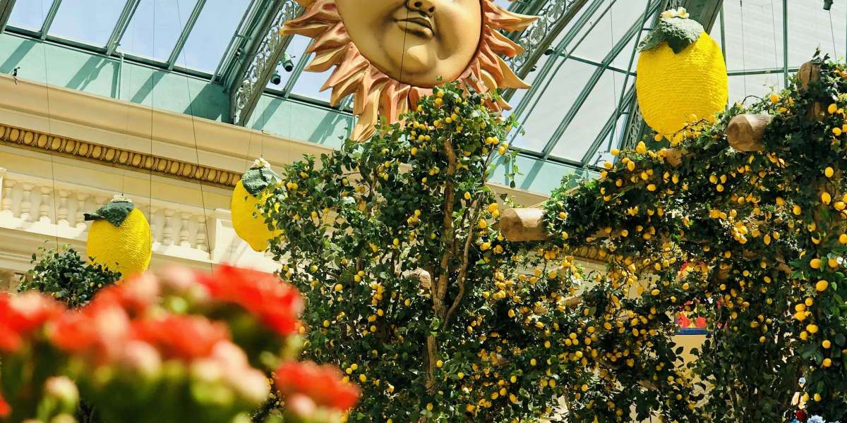 Vor- und Nachteile von Casinos: Eine umfassende Analyse der Glücksspiele Chancen und Risiken