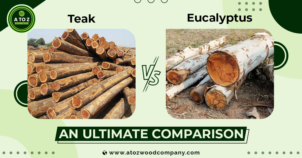 Teak vs Eucalyptus Wood: An Ultimate Comparison