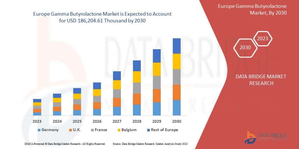 Europe Gamma Butyrolactone Market Consumer Demand By Segment 2030
