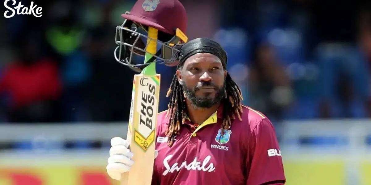 Cricket News & Match Insights – Updated Hourly