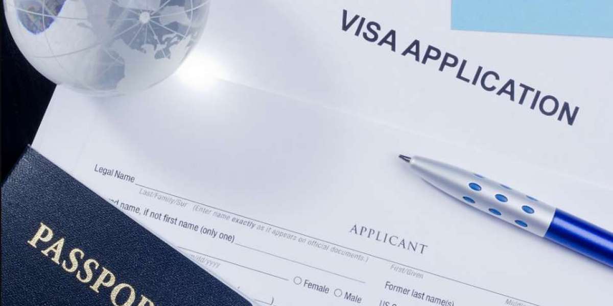 The Role of a Work Visa Lawyer in LMIA Applications