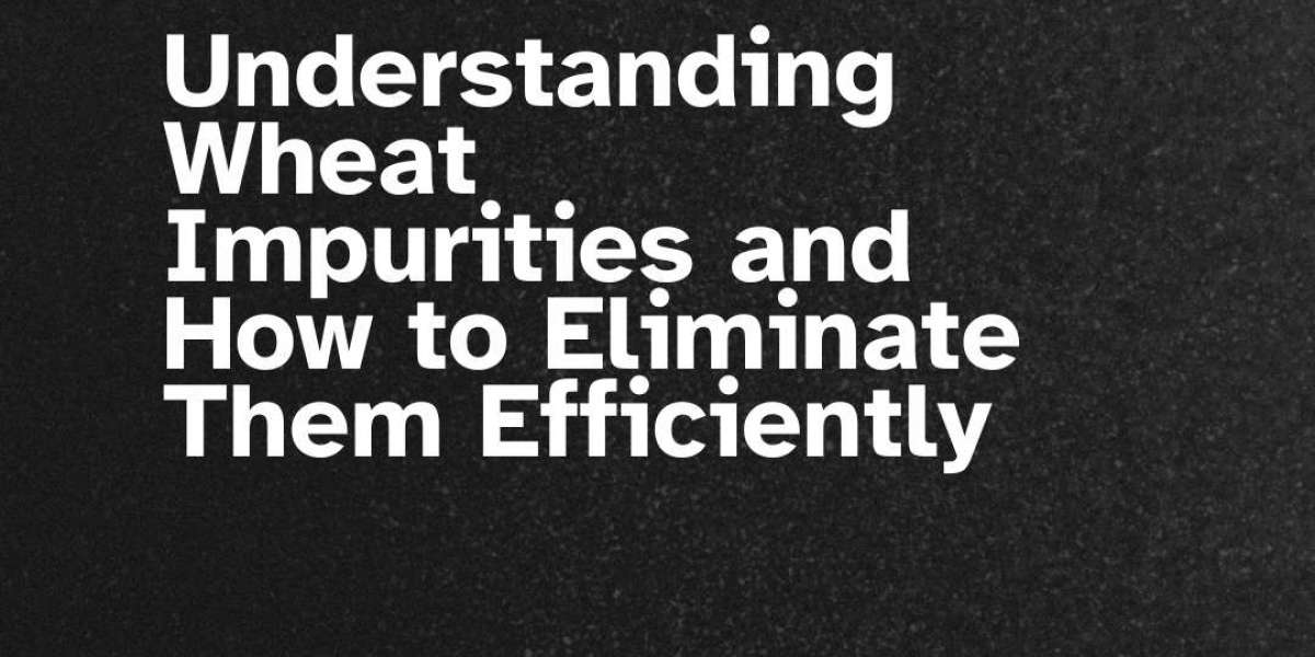 Understanding Wheat Impurities and How to Eliminate Them Efficiently