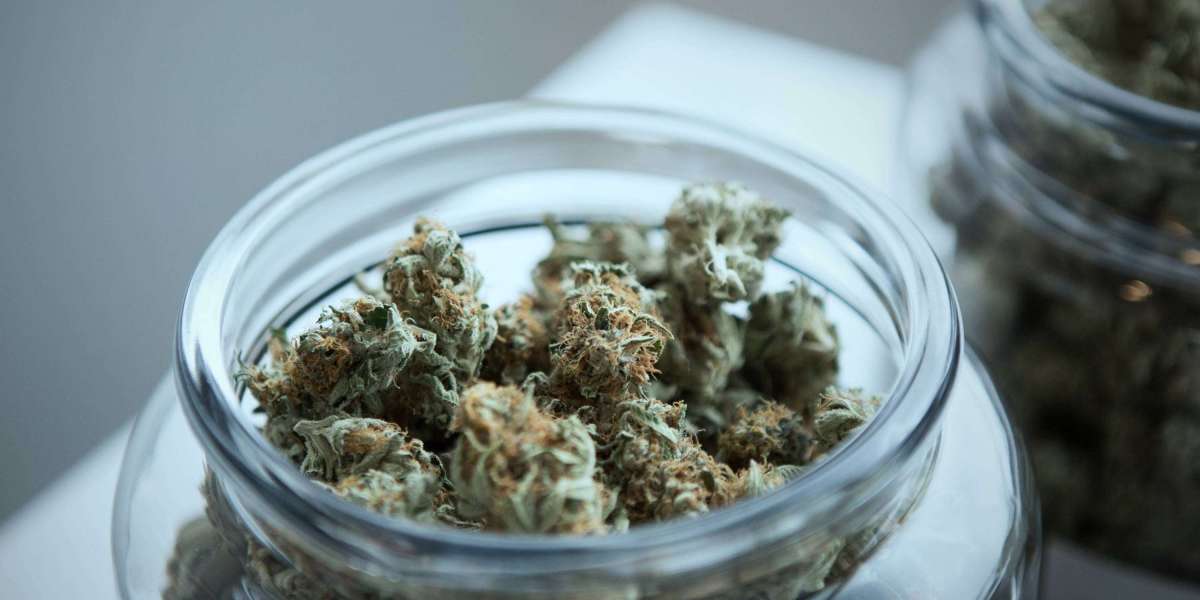 Same Day Weed Delivery: The New Standard of Convenience in California