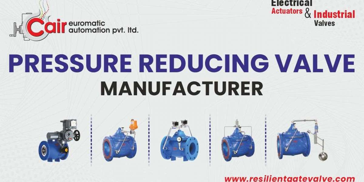 PRV Valves Made in Ahmedabad – India’s Trusted Manufacturers