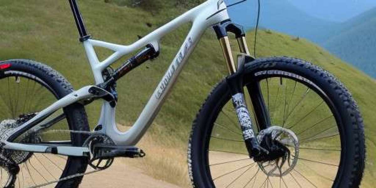 Giant Brand Mountain Bike