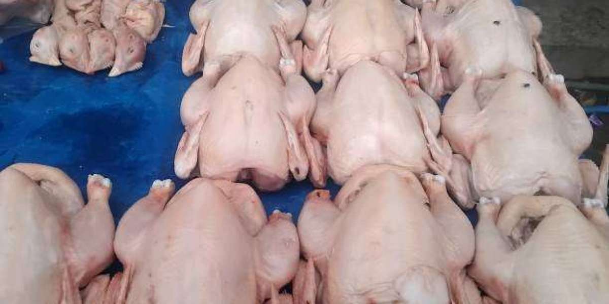 Premium Frozen Chicken Breast Wholesale by Aurora Alimentos – Freshness, Quality & Bulk Supply