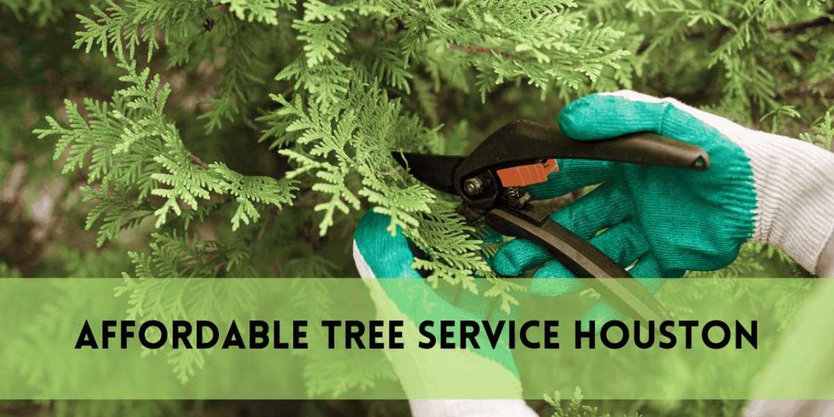 Affordable Tree Removal & Cheap Tree Trimming Service | Safe & Budget-Friendly Tree Care