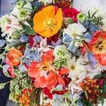 Verzaals Florist And Events