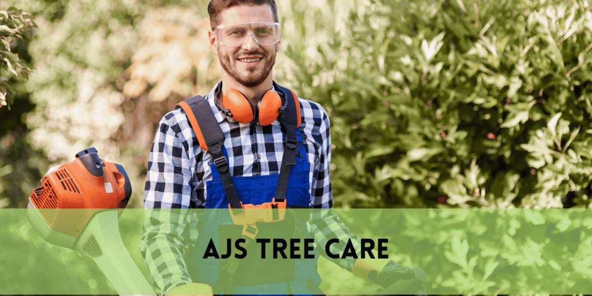 Affordable Tree Removal and Cheap Tree Trimming Service | Safe and Budget-Friendly Yard Care