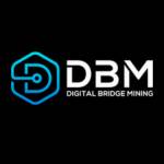 Digital Bridge Mining