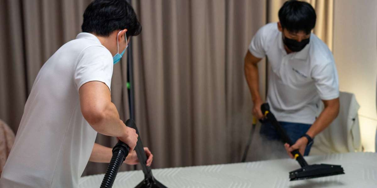 The Importance of Professional Cleaning Services: Spotlight on Be Mitey Clean