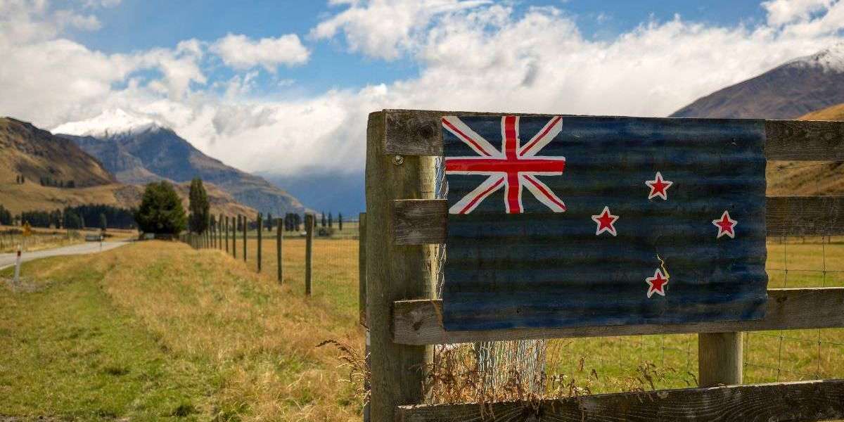 How to Transition Into Agriculture If You’re New to the Industry