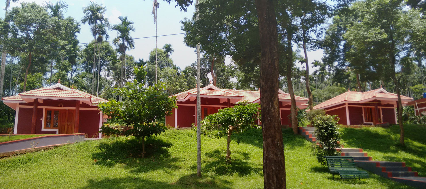 Best Budget Friendly Resorts in Wayanad | Pappy's Nest