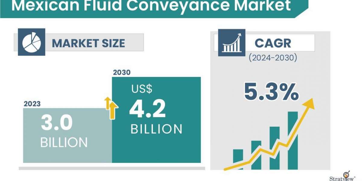 Flowing Towards Sustainability: Fluid Conveyance in Mexican Water Management